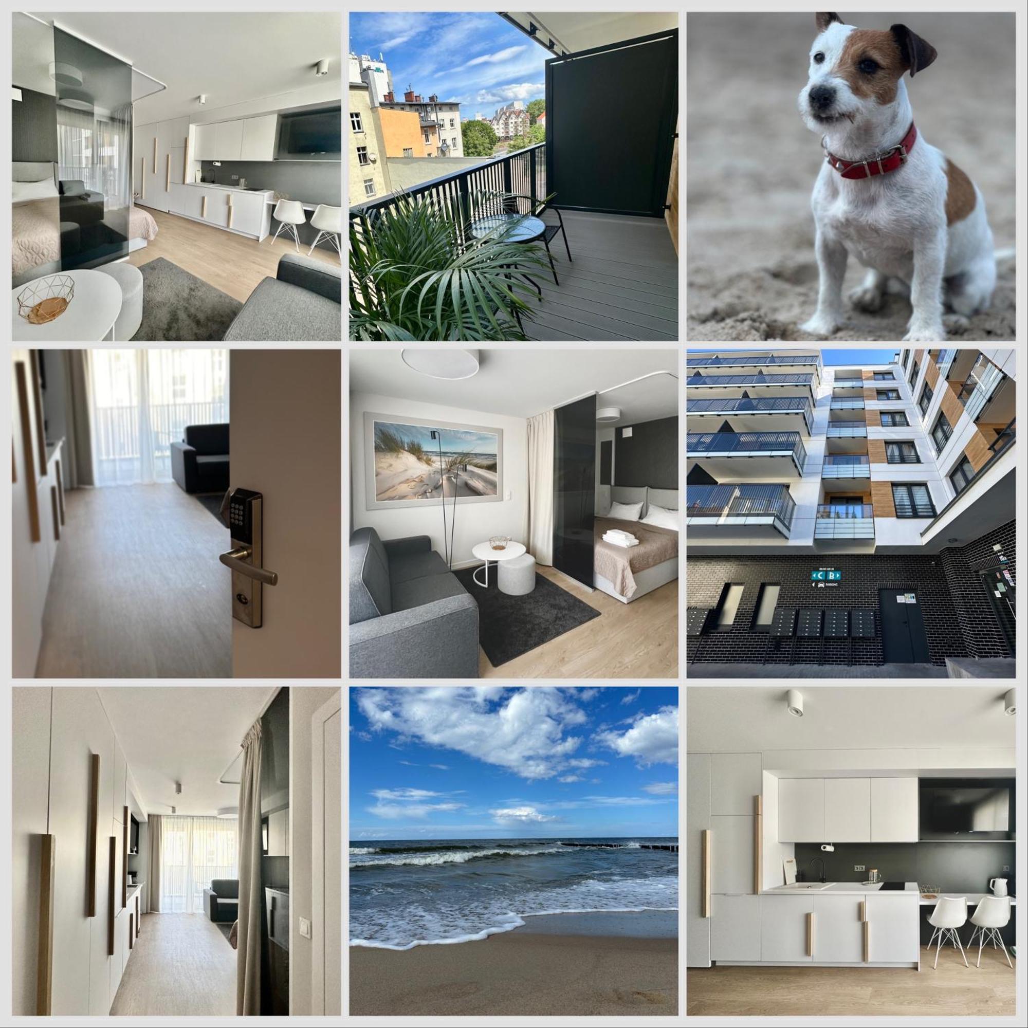Apartament Typu Studio - Nad Parseta - 15 Min Od Morza Kołobrzeg Kültér fotó
